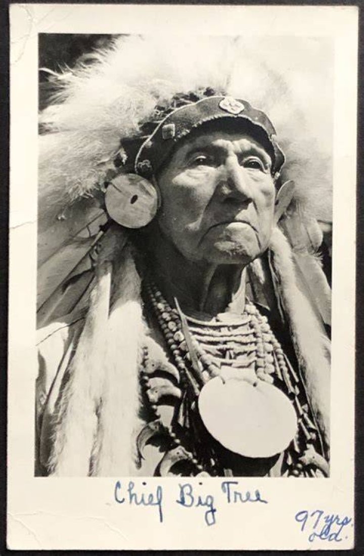 Chief John Big Tree Biography, Age, Height, Wife, Net Worth, Family