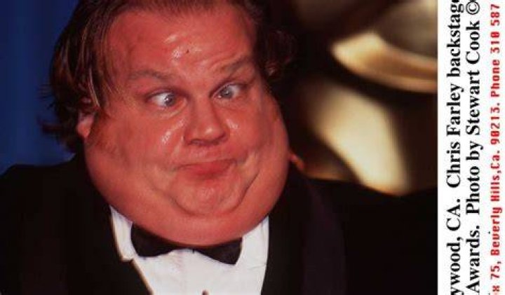 Chris Farley Biography, Age, Height, Wife, Net Worth, Family
