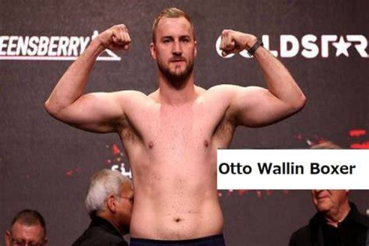 Otto Wallin Biography, Age, Height, Wife, Net Worth, Family