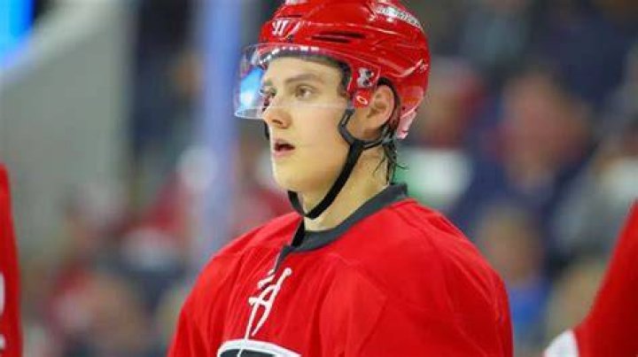 Sebastian Aho Biography, Age, Height, Wife, Net Worth, Family